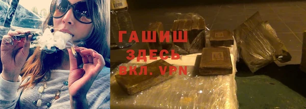 сатива Новодвинск