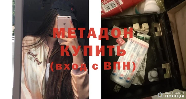 сатива Новодвинск