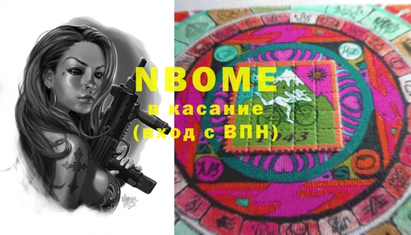 сатива Новодвинск