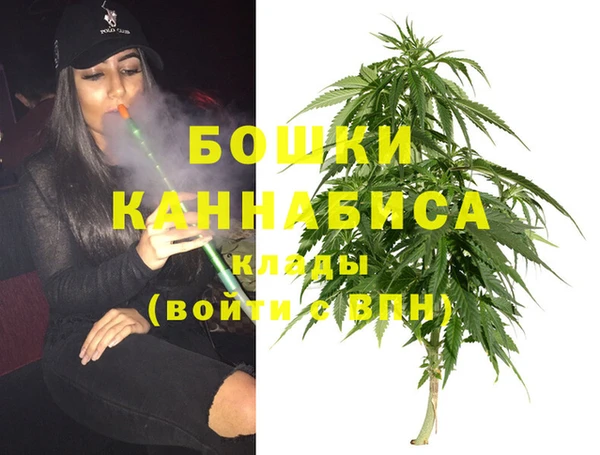 гидра Елабуга