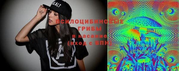 сатива Новодвинск