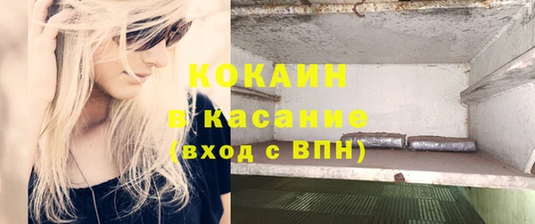 сатива Новодвинск