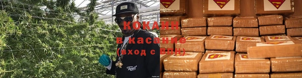 каннабис Новозыбков